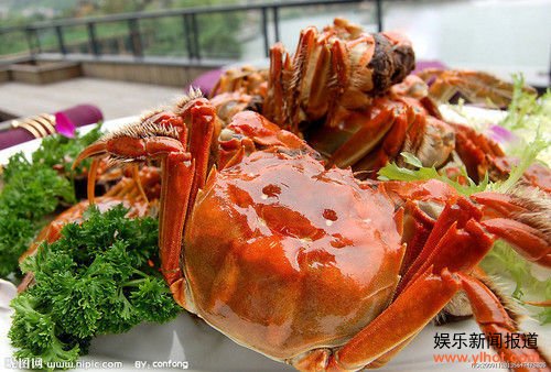 德国大闸蟹江河横行 “八脚大王”臭名昭著惹人忧（图）